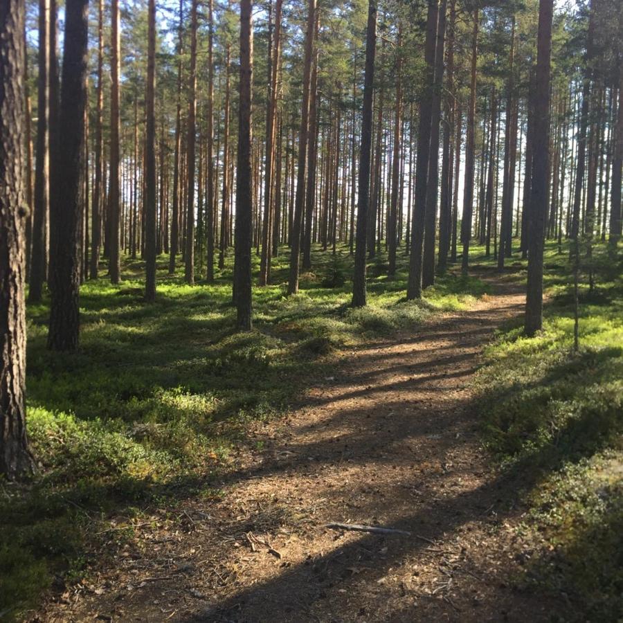 Stf Jaedraas Herrgard Exteriér fotografie